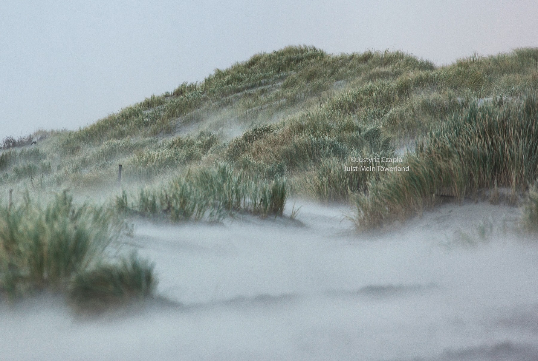 Insel Juist Das Töwerland Die schönste Sandbank der Welt