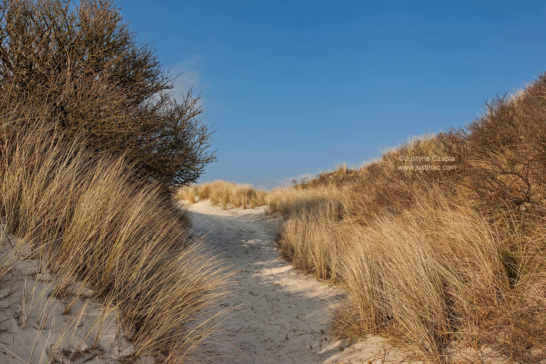 Insel Juist Das Töwerland Die schönste Sandbank der Welt